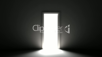 Door to the light