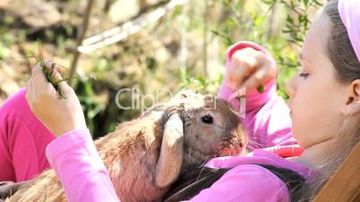 Mädchen spielt mit Kaninchen