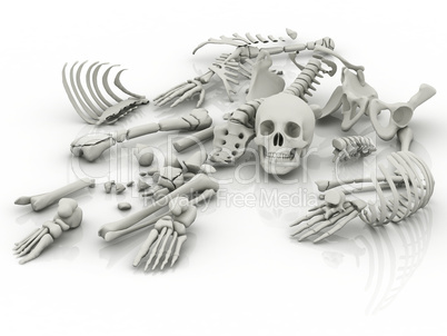 Skeleton parts on the floor