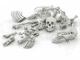 Skeleton parts on the floor