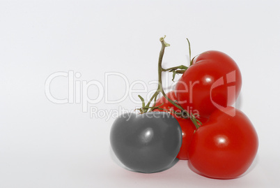 graue tomate
