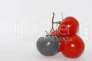 graue tomate