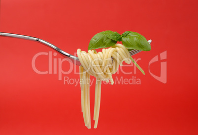 Spaghetti on a fork