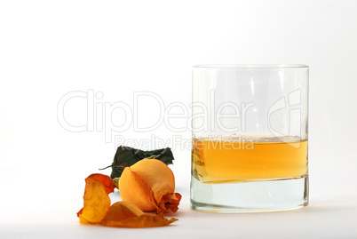 whiskey mit oranger rose auf weiss