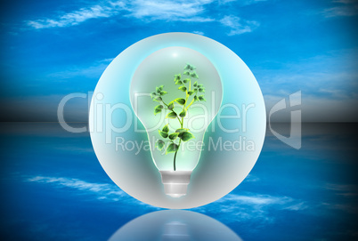 Bulb with a plant inside