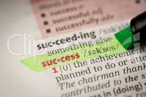 Success definition highlighted in green