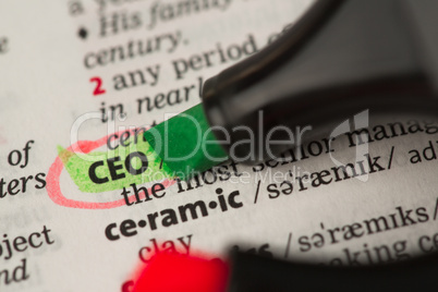 CEO definition highlighted and circled in the dictionary