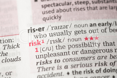 Risk definition