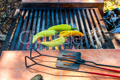 Cooking Xcatic peppers