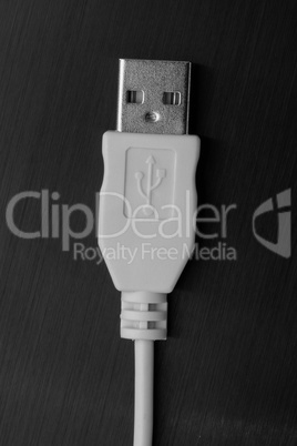 White USB