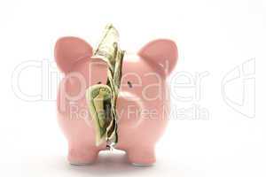Piggy bank broken with money inside