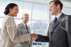 Smiling business people shaking hands with smiling colleague beh