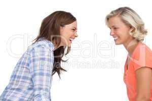 Two friends laughing together