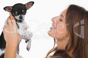 Smiling woman looking at her chihuahua