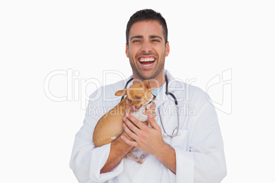 Laughing vet holding chihuahua