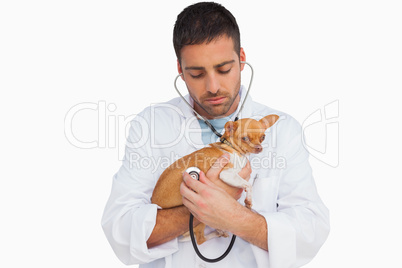 Worried vet checking dog with stethoscope
