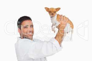 Happy vet lifting up chihuahua