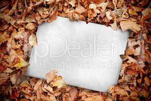 White poster buried into dead leaves