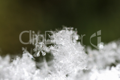 kleiner schneekristall grossansicht