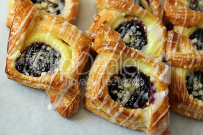 blueberry danich