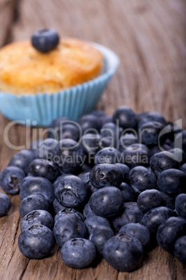 Heidelbeermuffin und Heidelbeerren