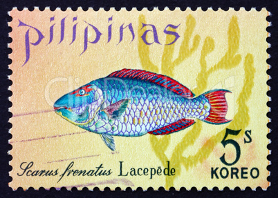 postage stamp philippines 1972 parrotfish, scarus frenatus, fish