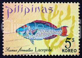 postage stamp philippines 1972 parrotfish, scarus frenatus, fish