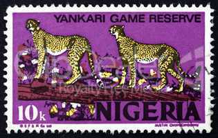 postage stamp nigeria 1973 african leopards