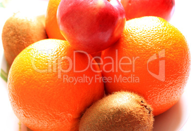 orange, grapefruit, kiwi and apples