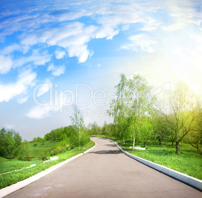 Paved road in a green park