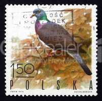 postage stamp poland 1970 wood pigeon, game bird