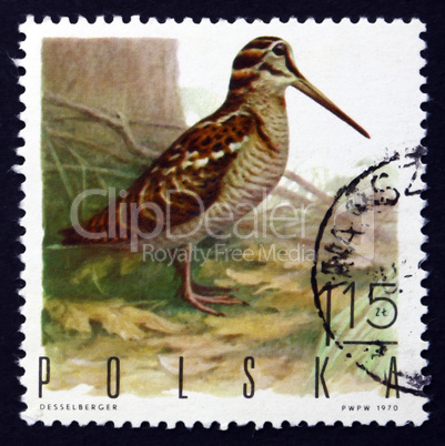 postage stamp poland 1970 woodcock, game bird