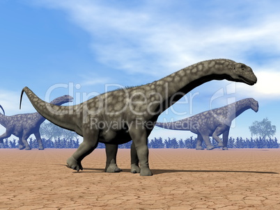 Argentinosaurus dinosaurs walk - 3D render