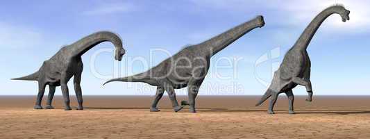 Brachiosaurus dinosaurs in the desert - 3D render