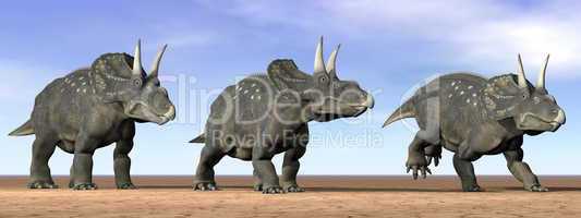 Diceratops dinosaurs in the desert - 3D render