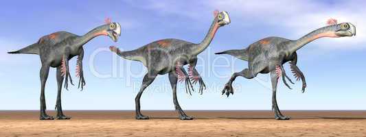 Gigantoraptor dinosaurs in the desert - 3D render