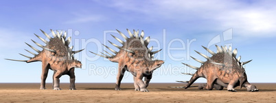 Kentrosaurus dinosaurs in the desert - 3D render