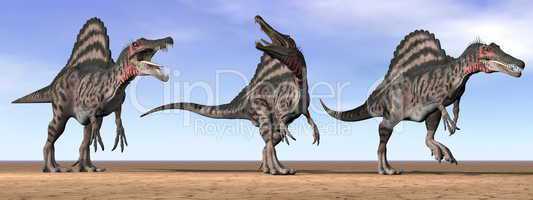 Spinosaurus dinosaurs in the desert - 3D render