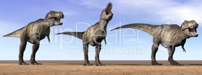 Tyrannosaurus dinosaurs in the desert - 3D render