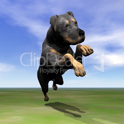 Rottweiler dog jumping - 3D render