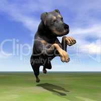 Rottweiler dog jumping - 3D render