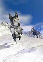 Malamute dogs in the mountain - 3D render