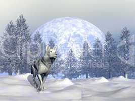 Wolf in winter - 3D render