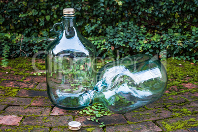 Recycle big glass wine on garden brick floor