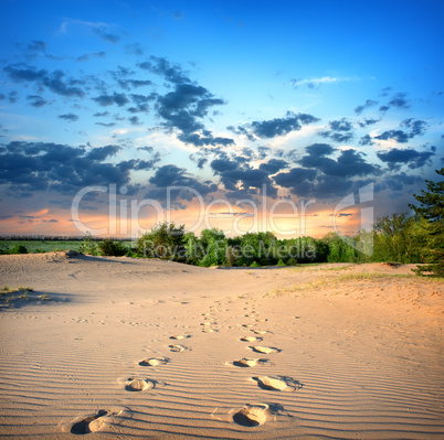 Footprints in the sand