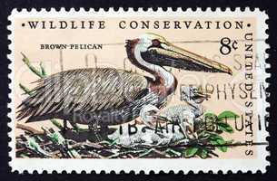 postage stamp usa 1972 brown pelican, bird