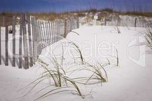 Sand Dunes and Fence at the Beach