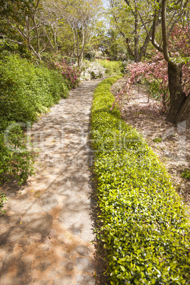 Beautiful Lush Park Walkway