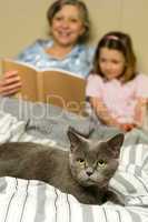 Senior woman and granddaughter reading with cat