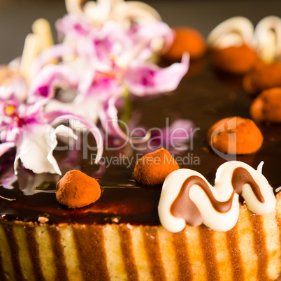 Richly decorated cake with chocolate coating